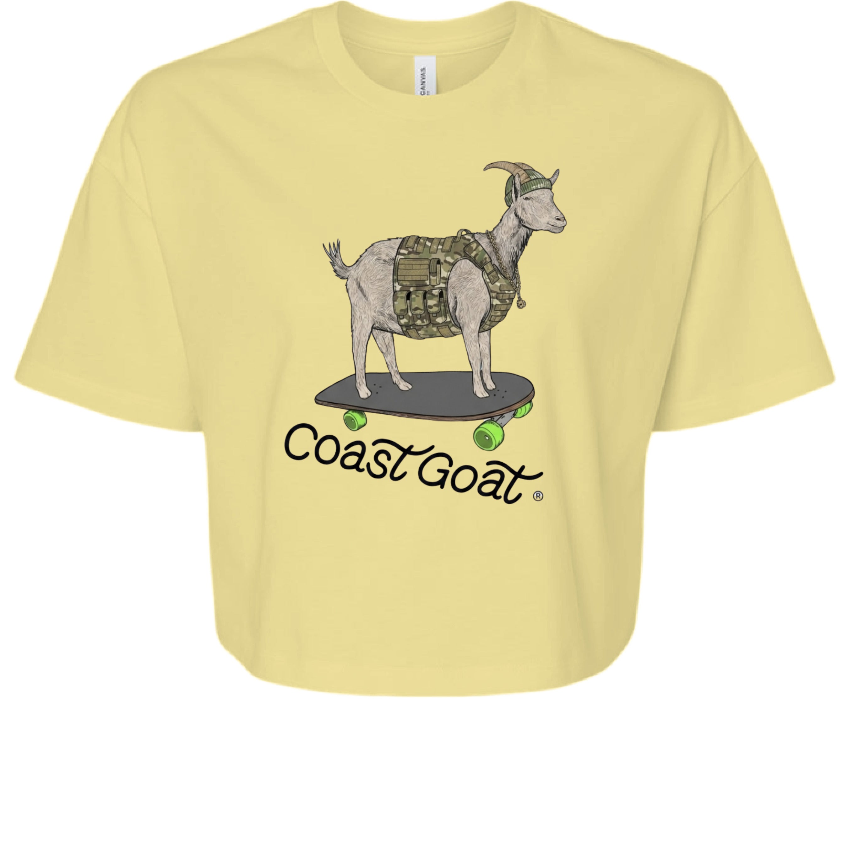 Mustard - FRONT