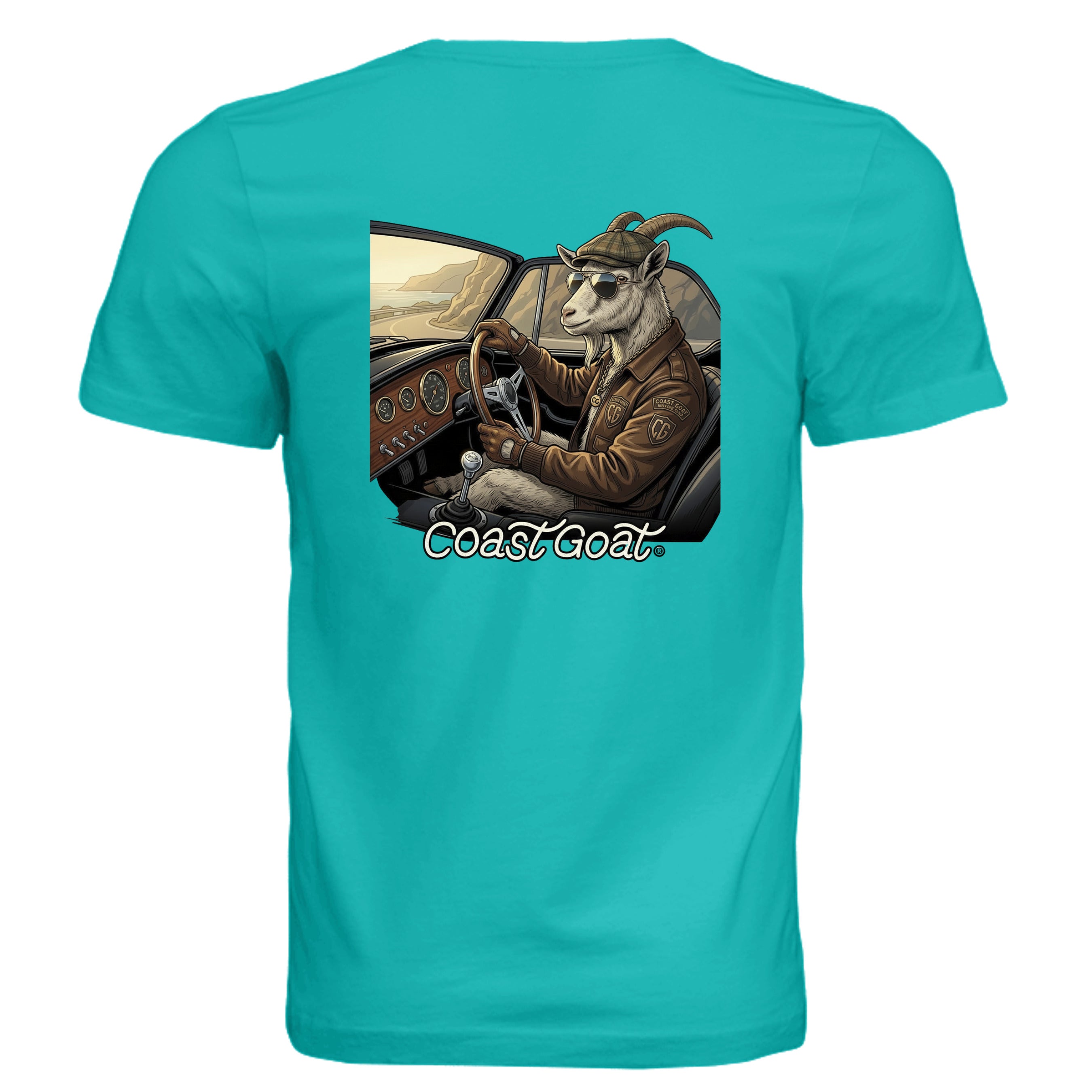 TEAL - 3001C - BACK
