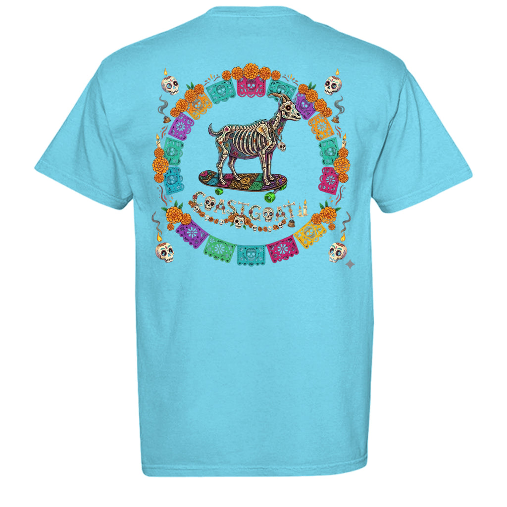 LAGOON BLUE - C1717 - BACK